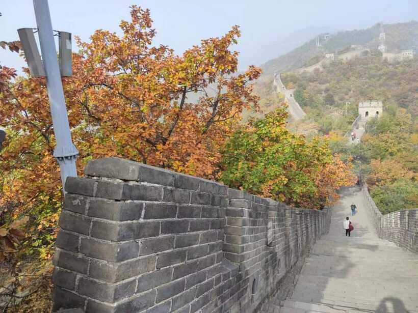 Beijing: Mutianyu Great Wall and Forbidden City Private Tour - Who should book this Beijing day tour?