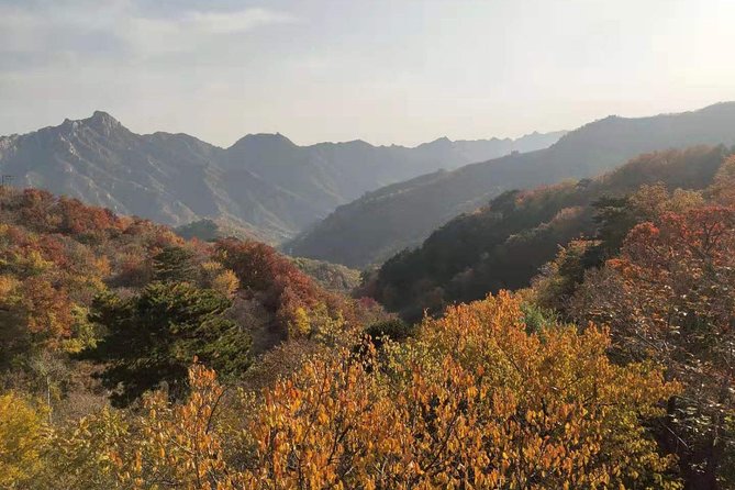 Beijing: Mutianyu Great Wall and Tea House Private Tour - The private car makes the timing easier