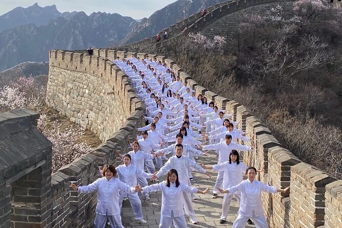 Beijing Mutianyu Great Wall Private Tour with Options - Driver or English-speaking guide?