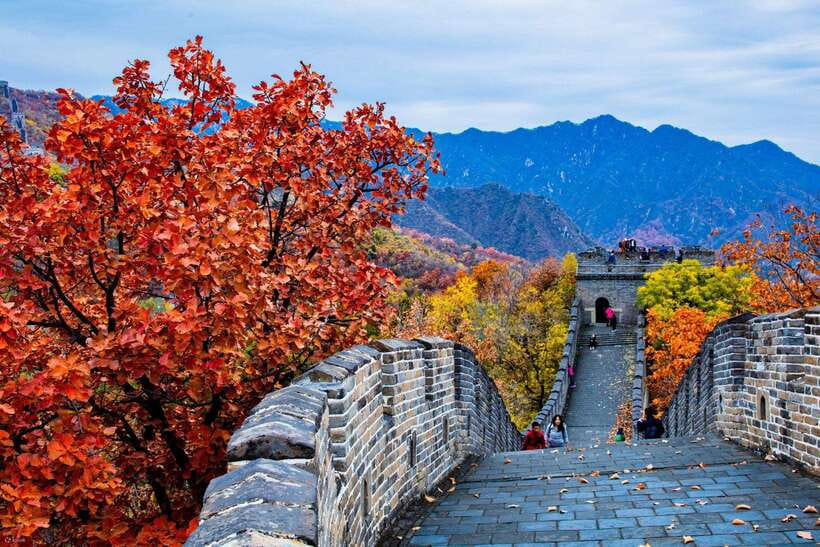 Beijing: Panda House w/Great Wall or City Sites Private Tour - Is $144 per person a fair price?