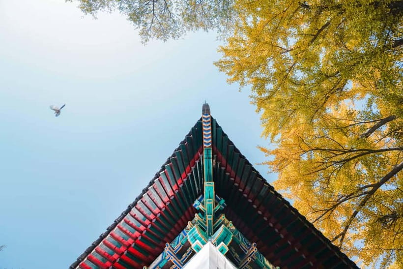 Beijing: Peking University Campus Guided Walking Tour - The library and Cai Yuanpei’s legacy