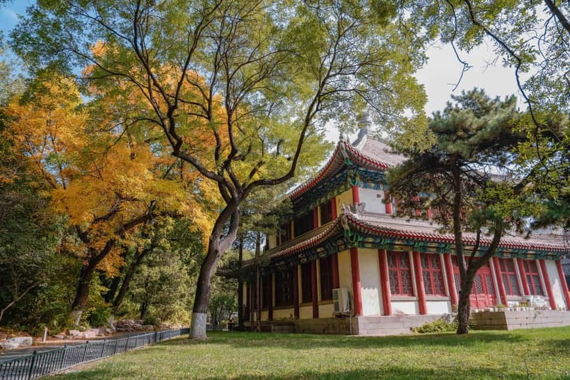 Beijing: Peking University Campus Guided Walking Tour - What the student perspective adds