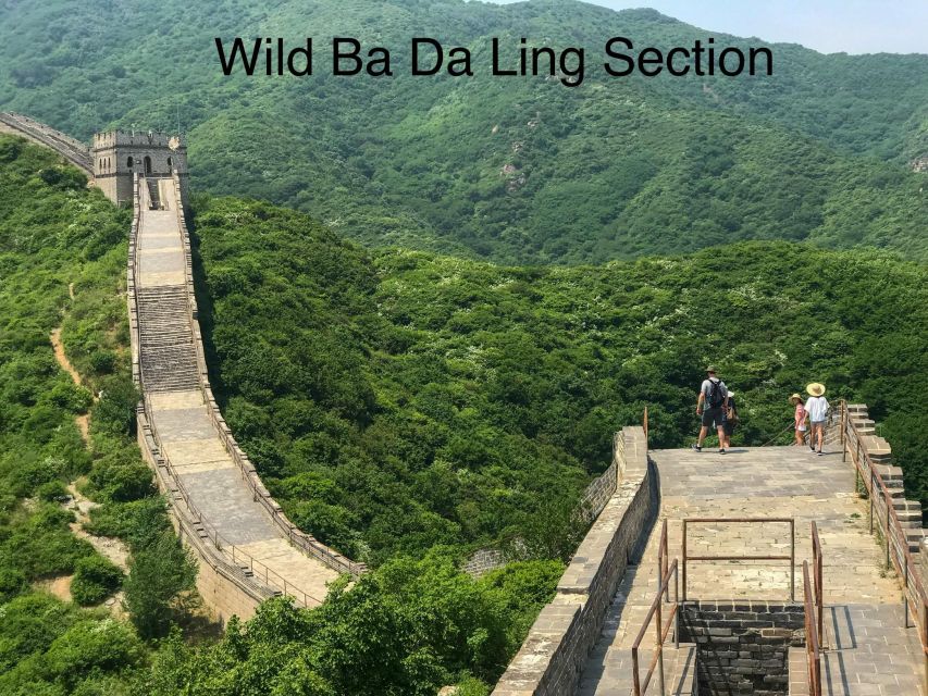Beijing Private Great Wall Day Tour - Who should book this Great Wall tour?