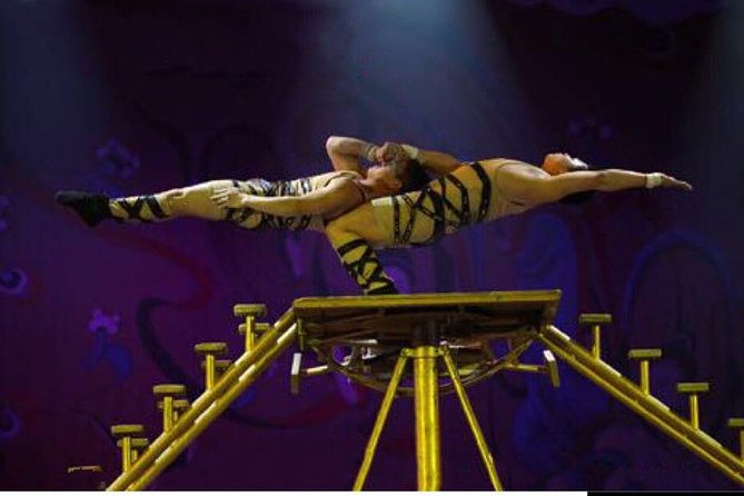 Beijing Red Theater Acrobatic Show with Private Transfer Service - Key points to know before booking