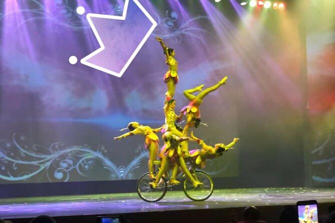 Beijing Red Theater Acrobatic Show with Private Transfer Service - A note about the driver and guide service