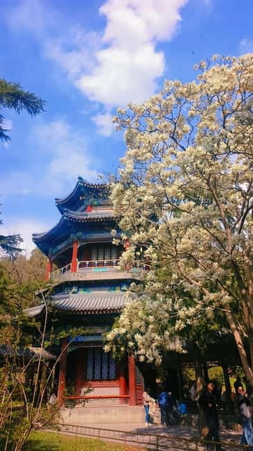 Beijing: Summer Palace Highlight Walking Tour - Hall of Benevolence and Longevity