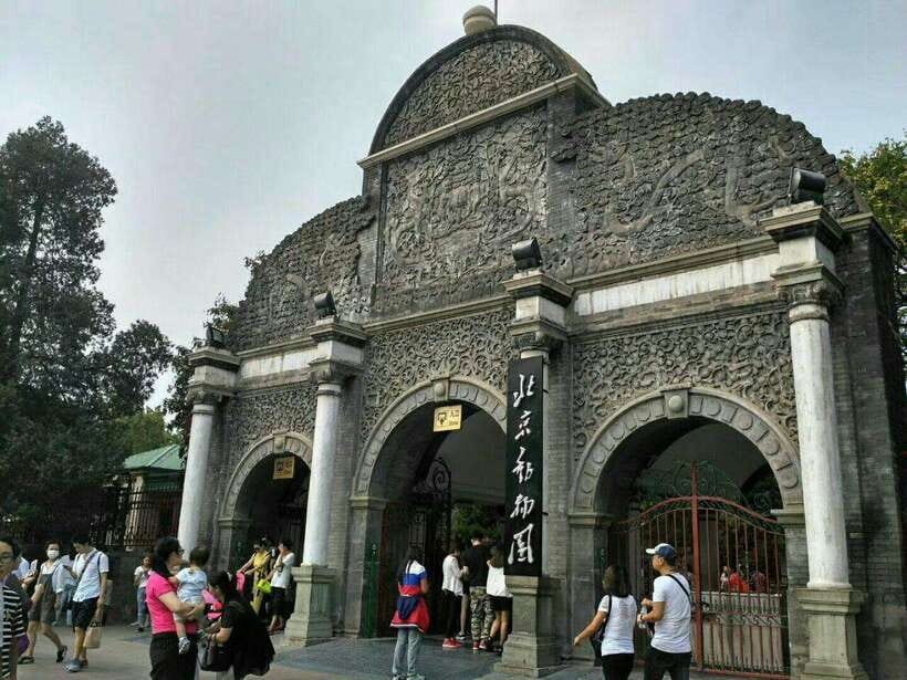 Beijing: The Beijing Zoo Entry Ticket with Pandas - Key points to know before you go
