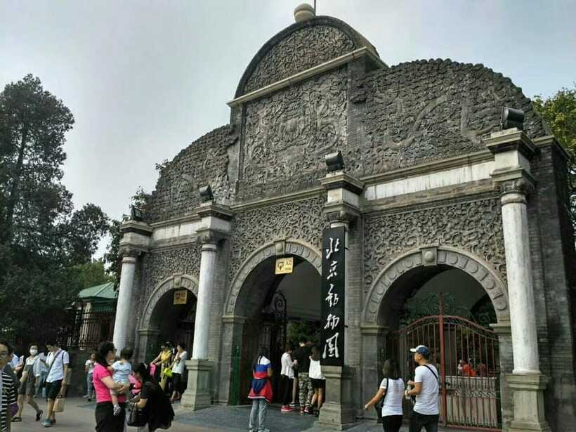 Beijing: The Beijing Zoo Entry Ticket with Pandas - The QR code detail that matters