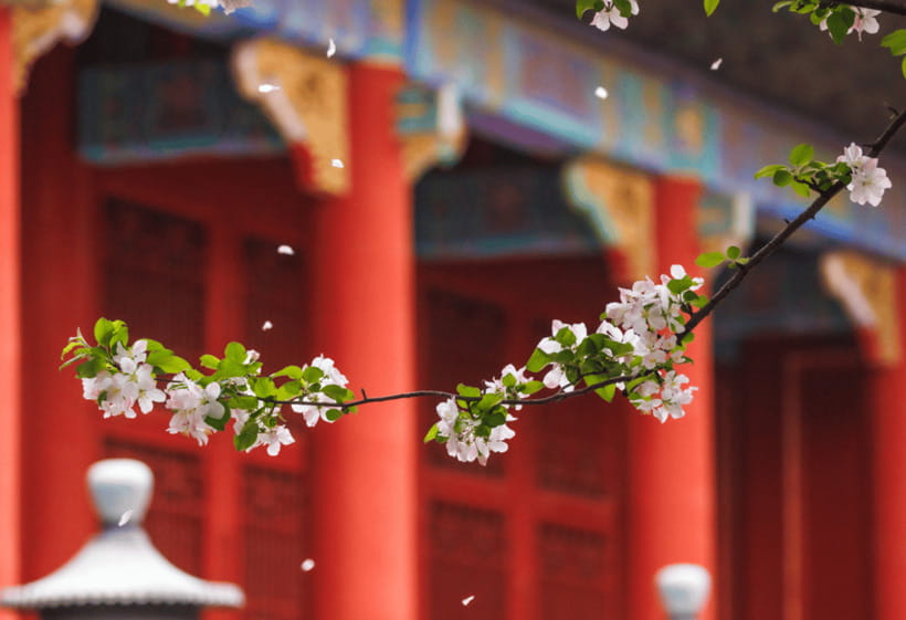 Beijing: Tiananmen Square and Forbidden City Entry Tickets - Temple of Heaven for ritual space and open courtyards