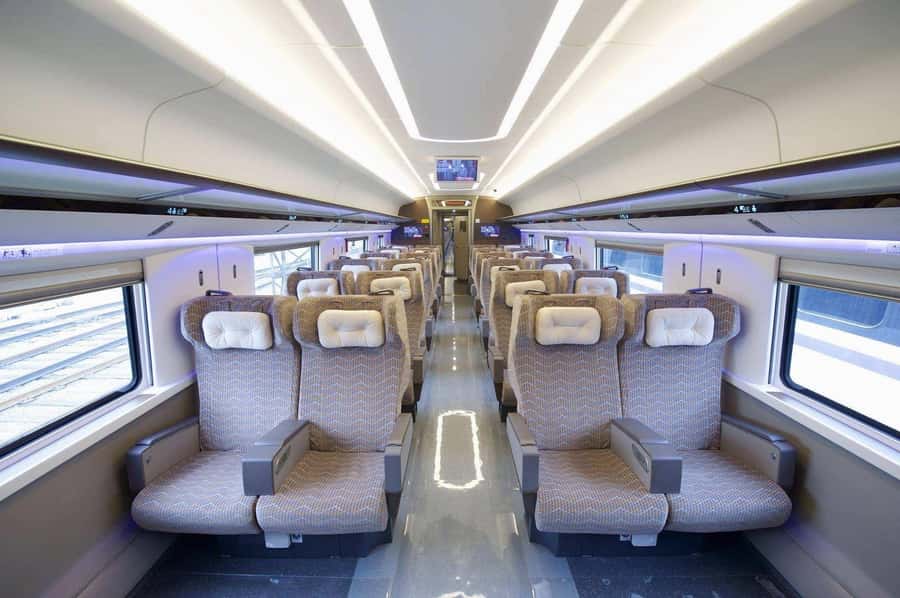Beijing to Xi'an Terracotta Tour by Roundtrip Bullet Train - Who should book this day trip
