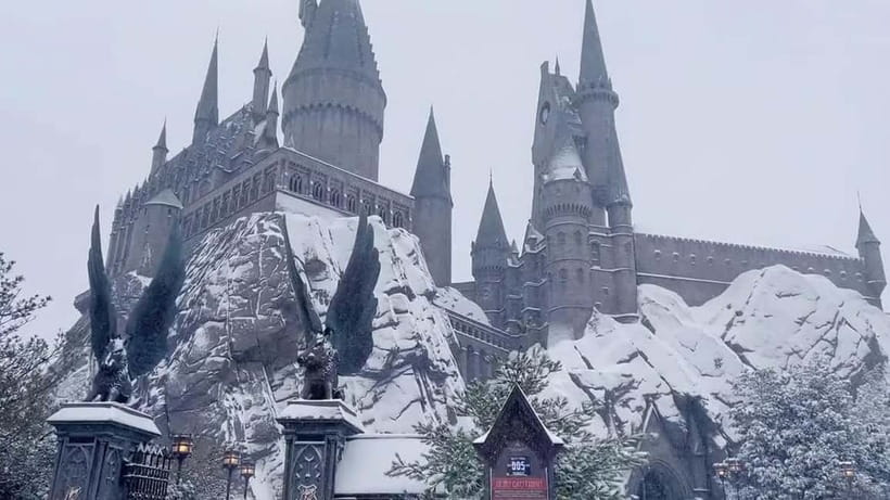 Beijing Universal studios 1 day private tour (opt) - Booking details worth checking twice