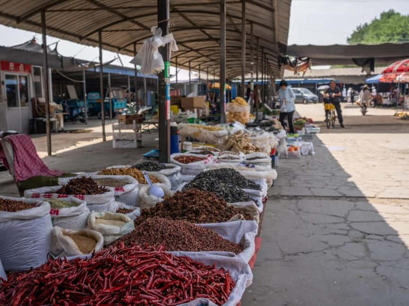 Beijing: Vegan Home Cooking & Local Market Tour with Sanxia - Choosing ingredients at a local organic market