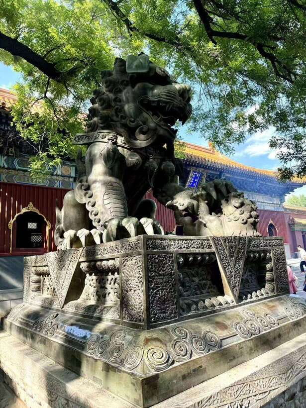 Beijing: Yonghe Lama Temple Entry Ticket - Who should book this entry ticket?