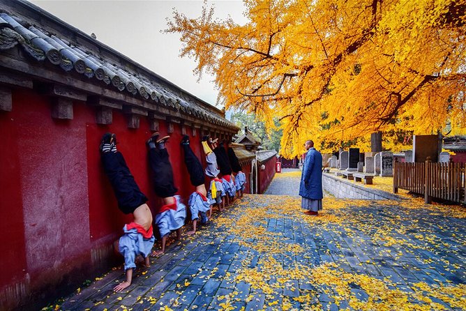 Best Luoyang Private One Day Tour - What the private guide adds
