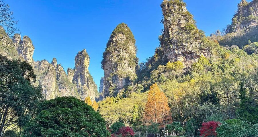 Best Mini Group to Zhangjiajie Forest Park & Avatar Mountain - What the $99 price really covers