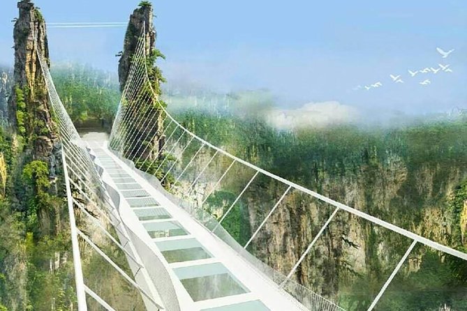 Best Mini Group to Zhangjiajie Forest Park & Avatar Mountains - Bailong Elevator reaches the cliffs in 88 seconds