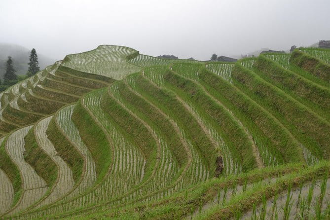Best of Guilin Li River Xianggong Hill and Yulong River - The guide and the long road between stops