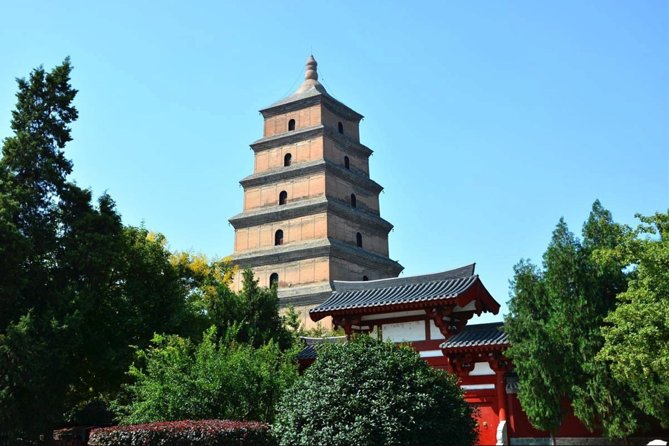 Best Xi'an Private Day Tour with Terracotta Warrior Entry Ticket Option - How much can fit into eight hours?