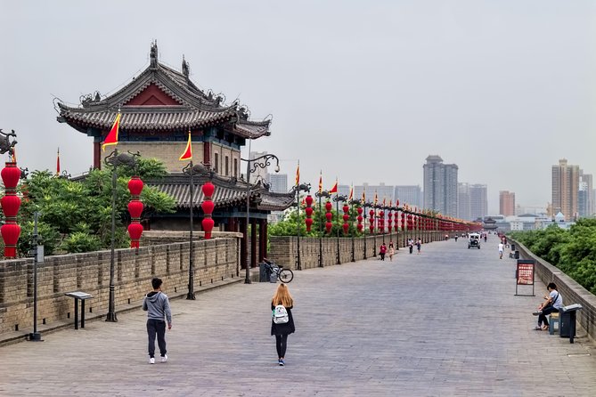Best Xi'an Private Day Tour with Terracotta Warrior Entry Ticket Option - Is the $125 price good value?
