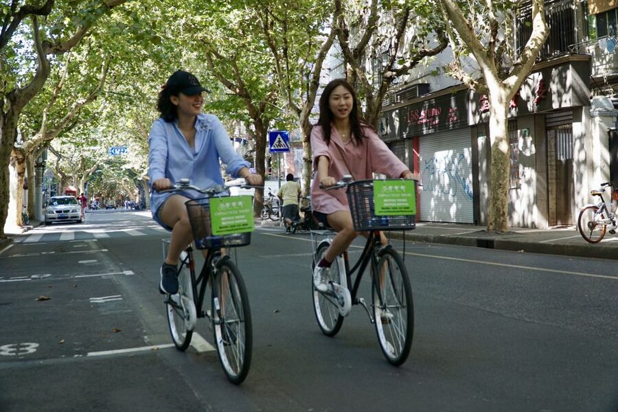 Biking Real Shanghai& Tea Tasting Experience - Tea tasting and the six types of tea