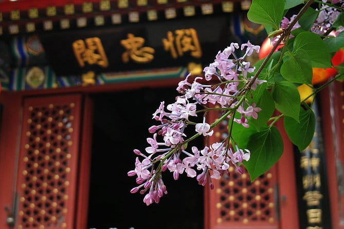 BusDa-Full-Day Bus Trips: Mutianyu, Summer & Old Summer Palaces - Group tour, private option, or a shorter day