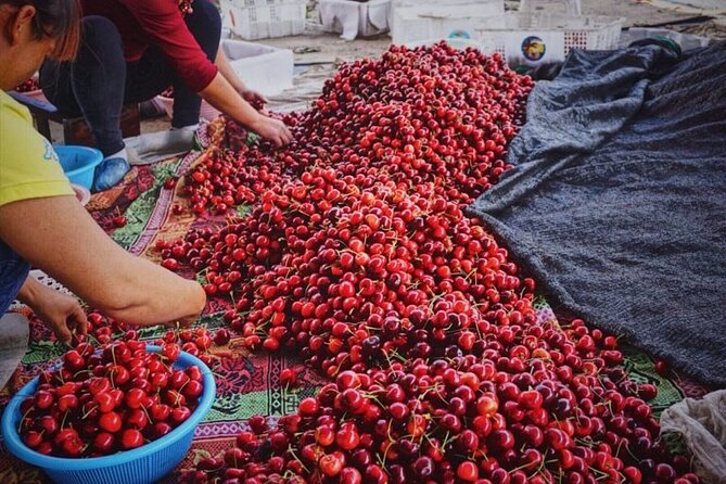 Changsha Walking Food Tour with Private Guide - Hunan cuisine, from cautious tasting to full heat