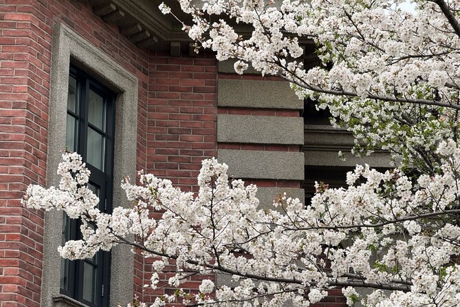 Charming Shanghai French Concession Mini-group Walking Tour - Shaoxing Lu and Shanghai’s literary past