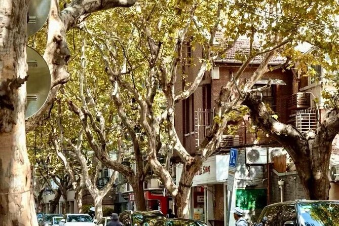 Charming Shanghai French Concession Mini-group Walking Tour - Why the small group matters