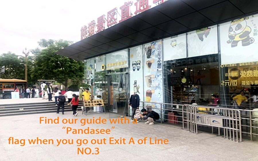 Chengdu panda base half day tour - Booking details worth handling carefully