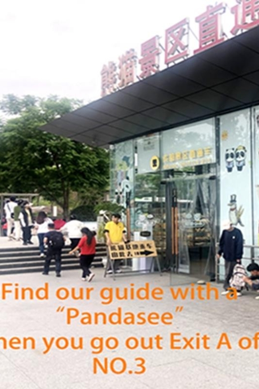 Chengdu panda base half day tour - Entering the research base without the ticket queue