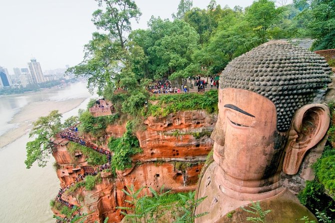 Chengdu: Panda Base Leshan Buddha Tour(or Half Day Panda Base ) - Key points to know before booking