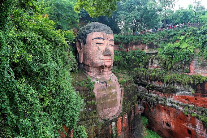 Chengdu: Panda Base Leshan Buddha Tour(or Half Day Panda Base ) - Starting at the Panda Base between 7 and 8 a.m.