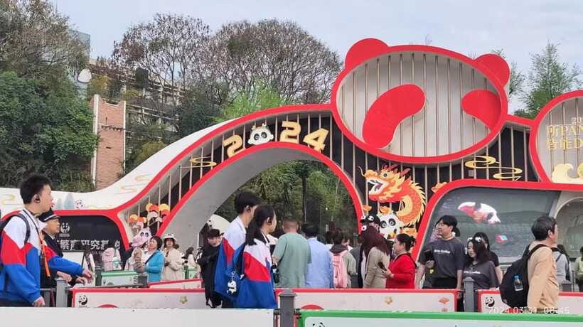 Chengdu: Panda Breeding Base Tickets Booking - The value of the $19 ticket