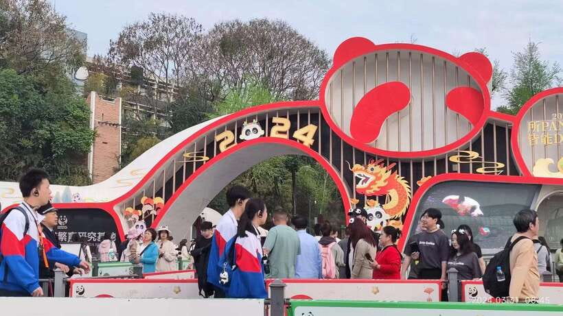 Chengdu: Panda Breeding Base Tickets Booking - Choosing entry only or a guided group