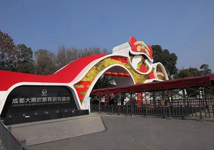 Chengdu panda & Leshan Buddha One Day Private Tour - Why this pairing works in one long day