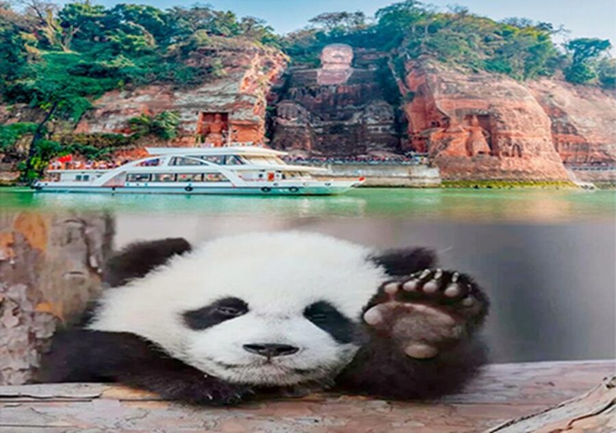 Chengdu panda & Leshan Buddha One Day Private Tour - The value of a $185 private tour