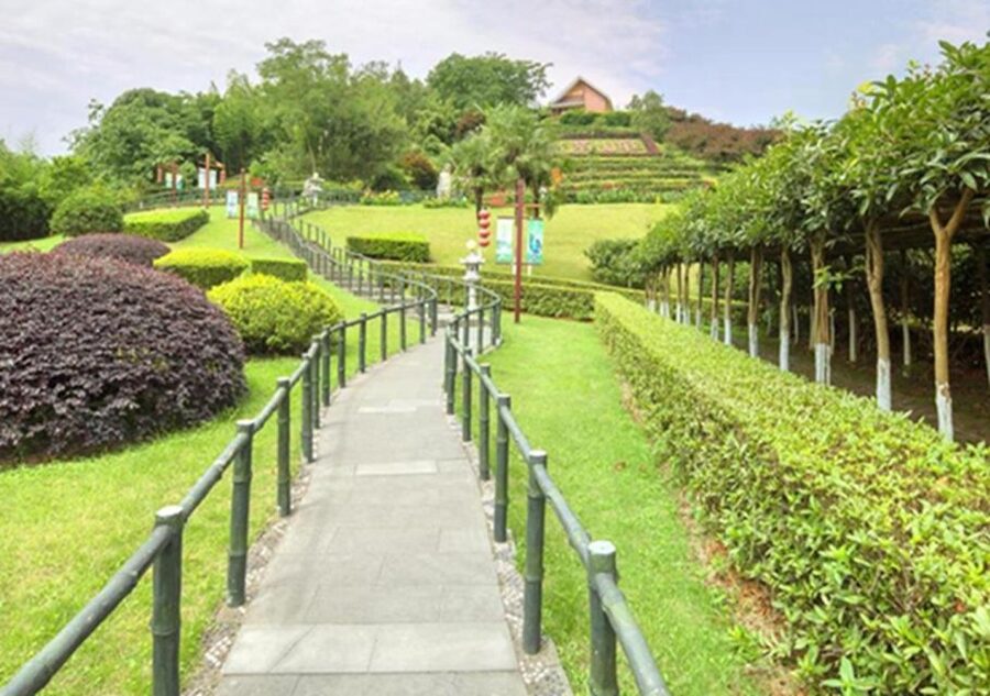 Chengdu panda & Leshan Buddha One Day Private Tour - Starting in Chengdu with a private pickup