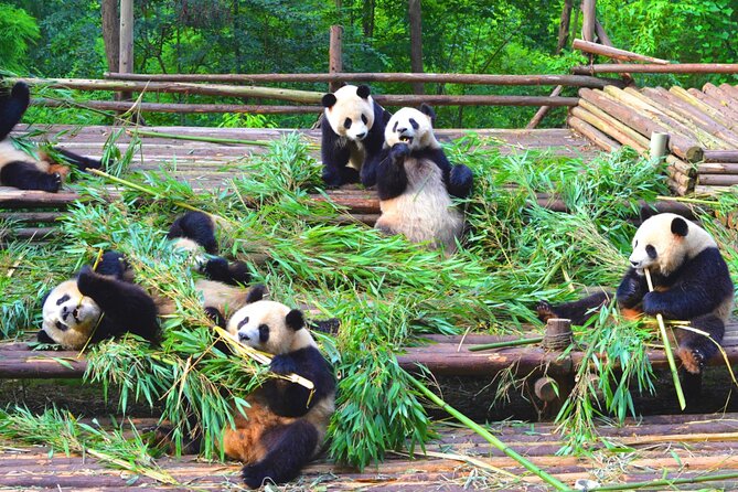 Chengdu Panda & Leshan Giant Buddha Premium Private Day Tour - Lunch and the practical value of local help