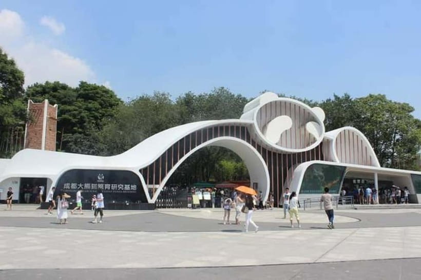 Chengdu: Panda Research Base Ticket or Volunteer Day Trip - Inside the Chengdu Panda Base