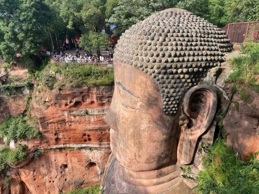 Chengdu: Private Panda Base Tour with 80 Pandas - Adding Leshan Buddha, Huanglongxi, or Chengdu