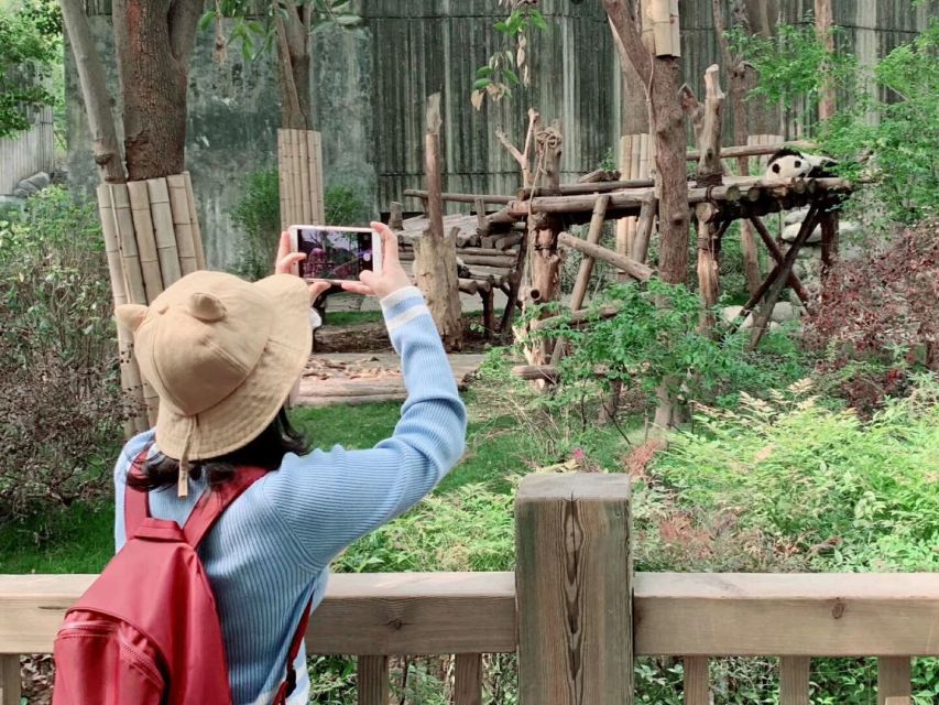 Chengdu: Private Panda Base Tour with 80 Pandas - Is the $75 price good value?