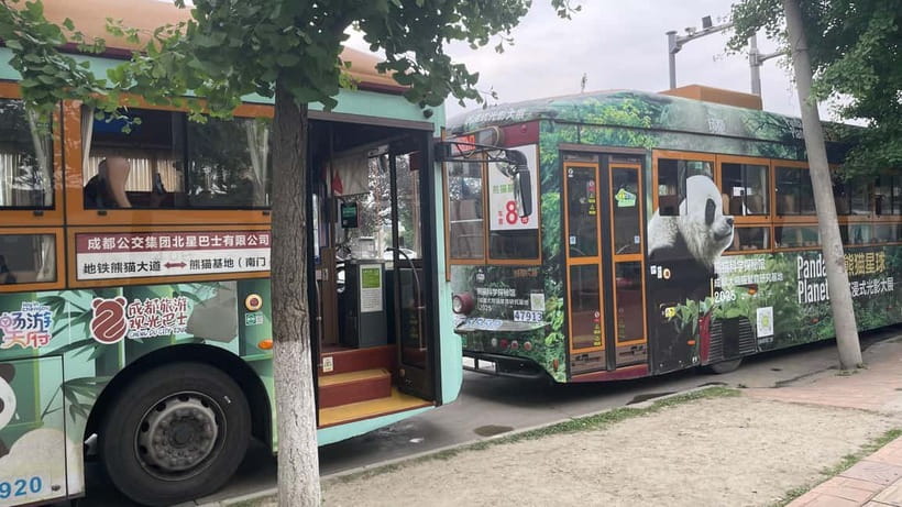 Chengdu: Private Tour at Panda Base with Guide - Following the three-hour panda route