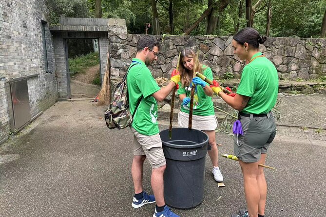 Chengdu: Volunteer Day Experience at Dujiangyan Panda base - What this panda volunteer day is really like