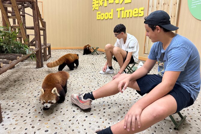 Chengdu: Volunteer Day Experience at Dujiangyan Panda base - Making panda cakes by hand
