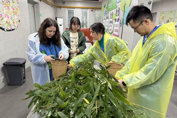 Chengdu: Volunteer Day Experience at Dujiangyan Panda base - The early ride from Chengdu to Dujiangyan