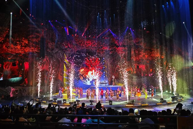 Chimelong International Circus Ticket with Transfer - What the private service does, and does not do