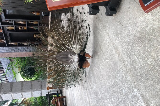 Chongqing Luxury Hot Spring and Massage Luxury Meal Private Tour - Is the $10 price really good value?