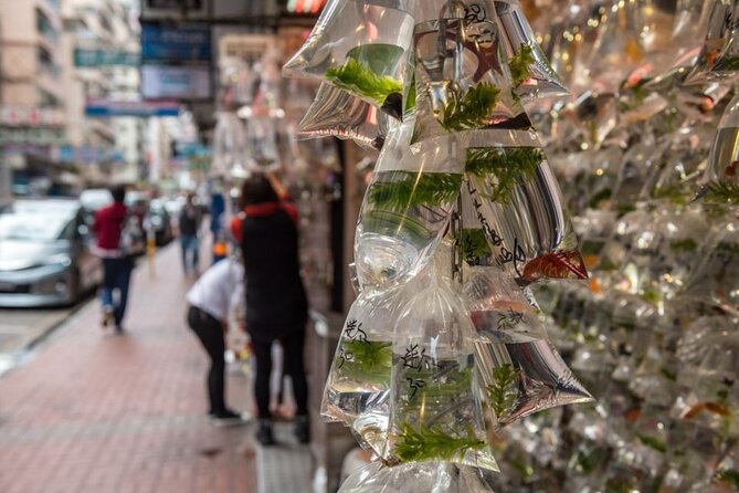 Dark Side of Hong Kong - Kowloon Caged Homes Walking Tour - The 100-square-foot display flat