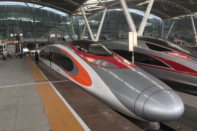 Day Tour to Shenzhen from Hong Kong by High Speed Bullet Train - Why this day trip works