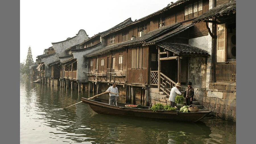 Delve into Wuzhen Water Town: Private Tour from Shanghai - Who should book this Wuzhen outing?